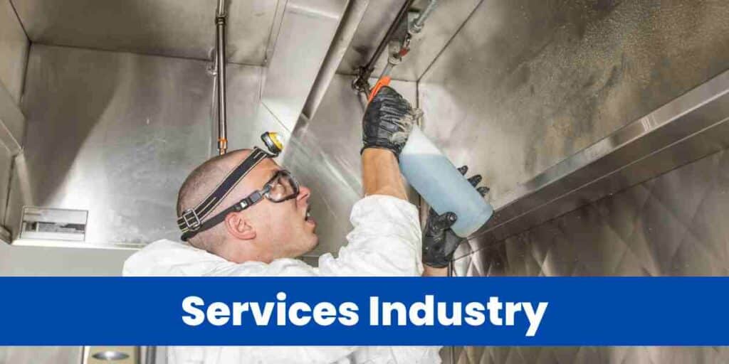 Services Industry